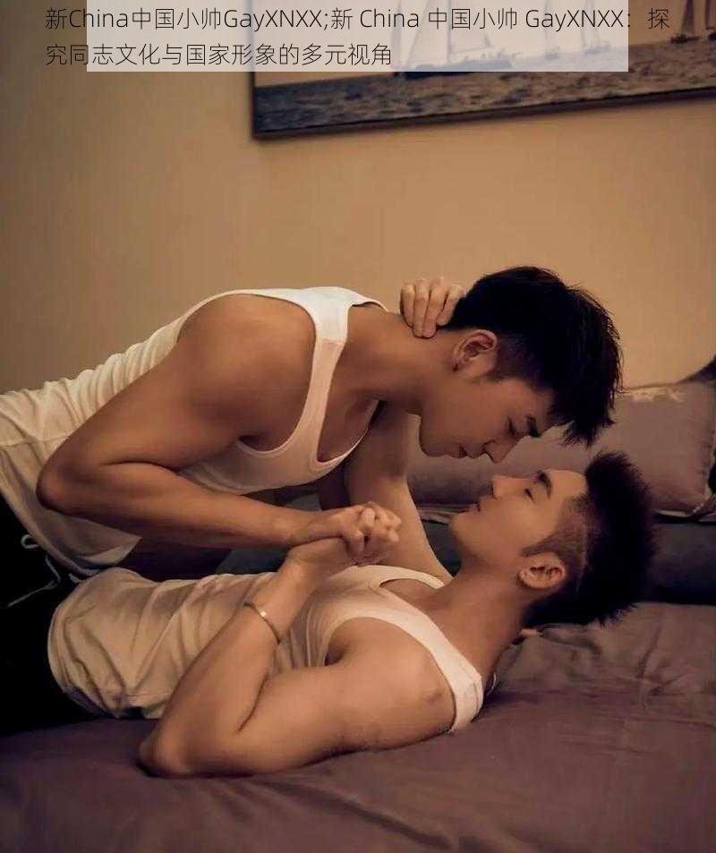 新China中国小帅GayXNXX;新 China 中国小帅 GayXNXX：探究同志文化与国家形象的多元视角