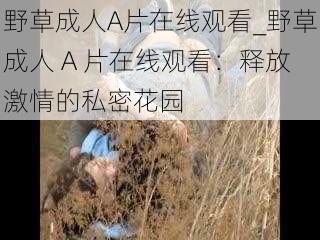 野草成人A片在线观看_野草成人 A 片在线观看：释放激情的私密花园