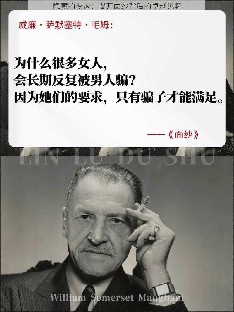 隐藏的专家：揭开面纱背后的卓越见解