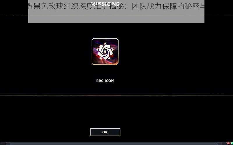 英雄联盟黑色玫瑰组织深度维护揭秘：团队战力保障的秘密与维护心得分享