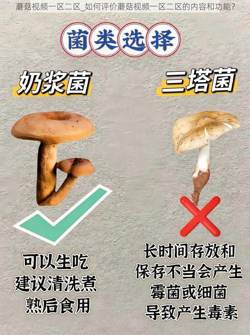 蘑菇视频一区二区_如何评价蘑菇视频一区二区的内容和功能？