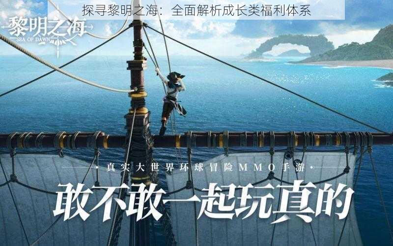 探寻黎明之海：全面解析成长类福利体系