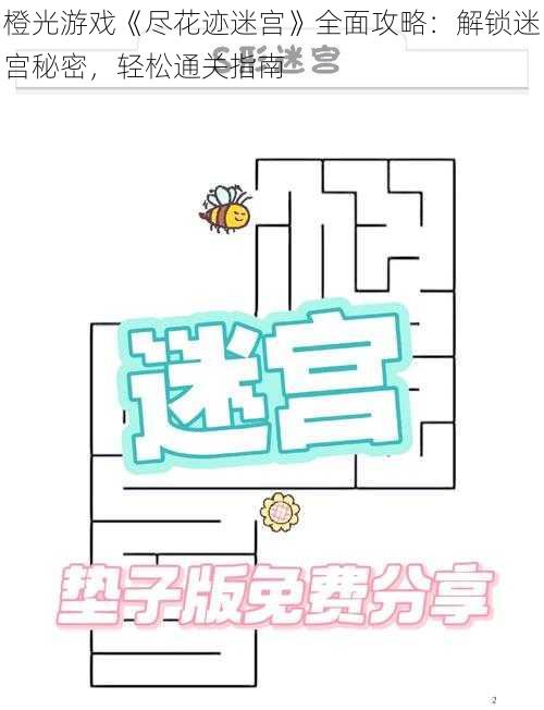 橙光游戏《尽花迹迷宫》全面攻略：解锁迷宫秘密，轻松通关指南