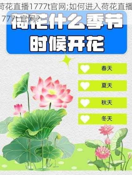 荷花直播1777t官网;如何进入荷花直播 1777t 官网？