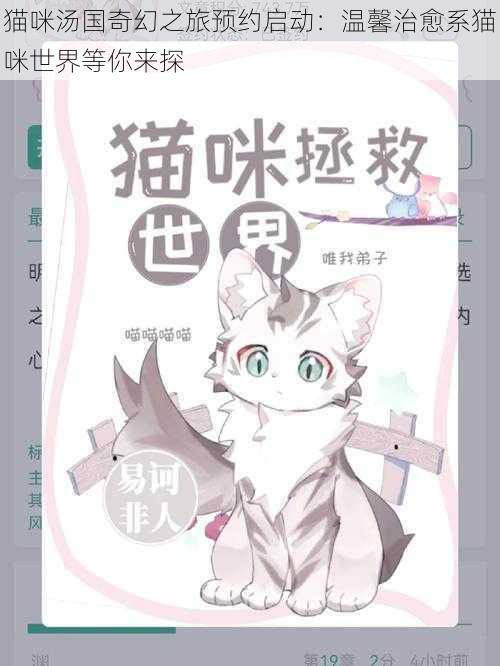 猫咪汤国奇幻之旅预约启动：温馨治愈系猫咪世界等你来探