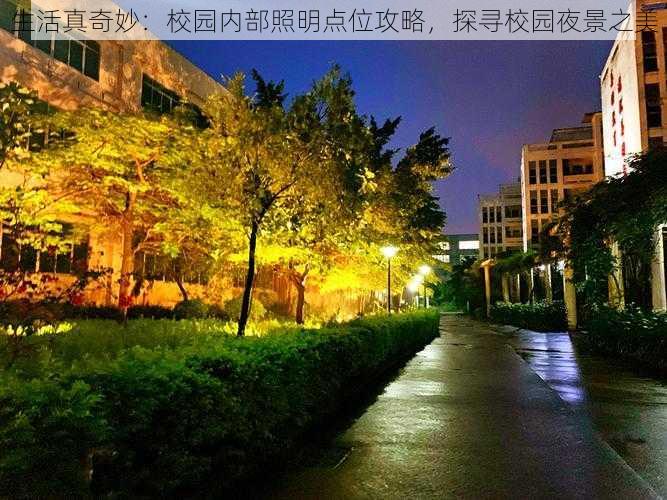 生活真奇妙：校园内部照明点位攻略，探寻校园夜景之美