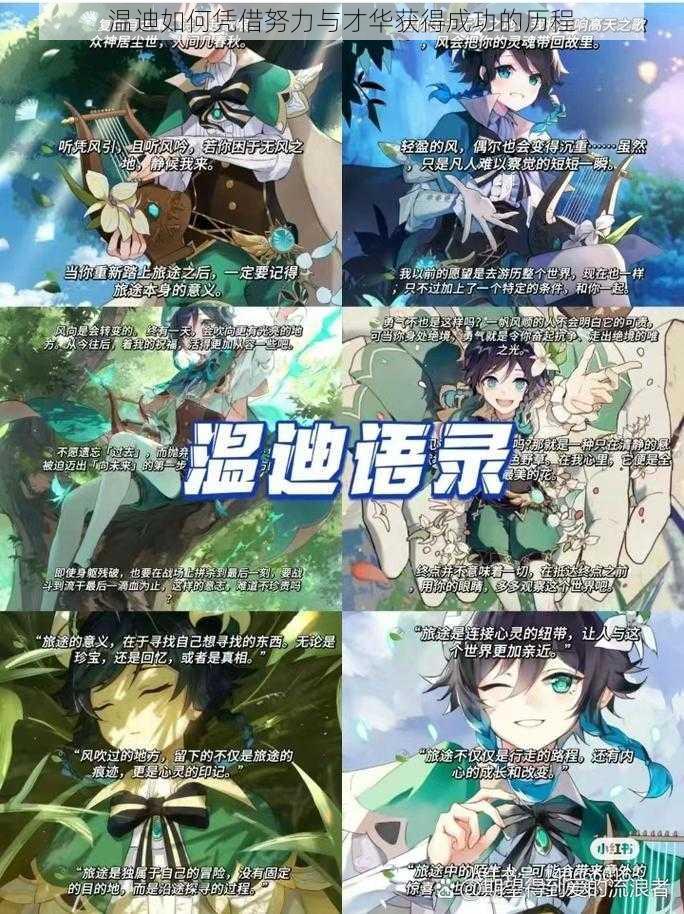 温迪如何凭借努力与才华获得成功的历程