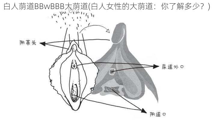 白人荫道BBwBBB大荫道(白人女性的大荫道：你了解多少？)