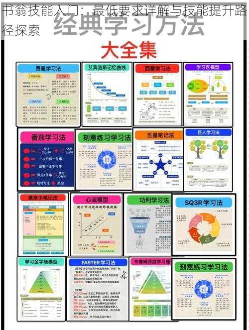 书翁技能入门：最低要求详解与技能提升路径探索