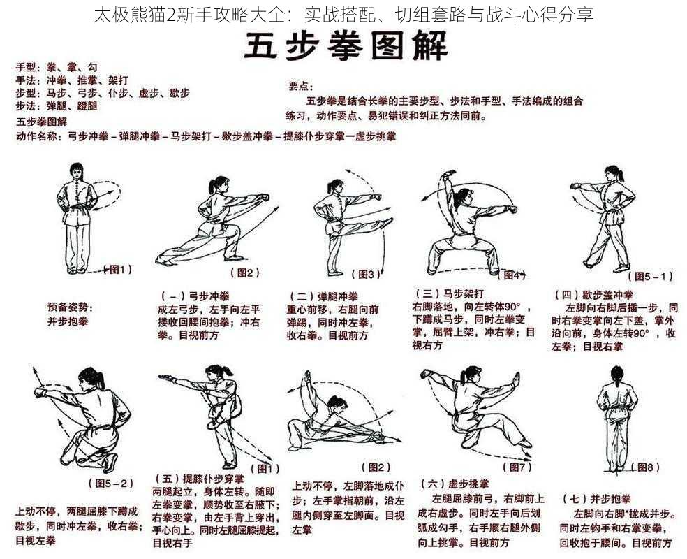 太极熊猫2新手攻略大全：实战搭配、切组套路与战斗心得分享