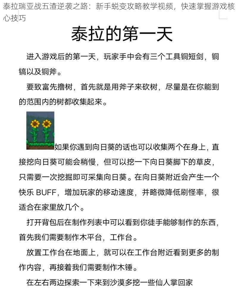 泰拉瑞亚战五渣逆袭之路：新手蜕变攻略教学视频，快速掌握游戏核心技巧