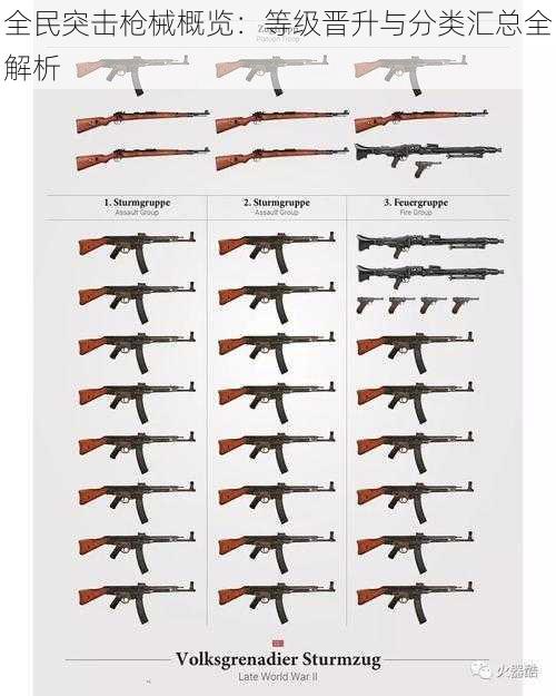 全民突击枪械概览：等级晋升与分类汇总全解析