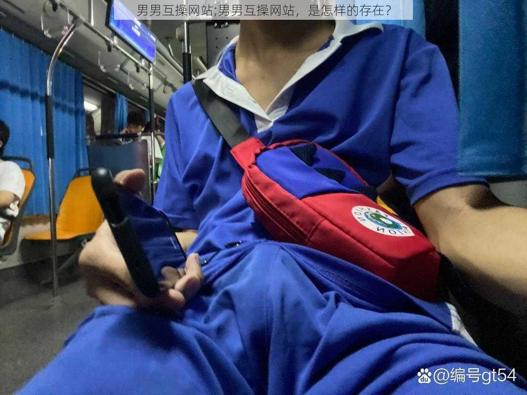 男男互操网站;男男互操网站，是怎样的存在？