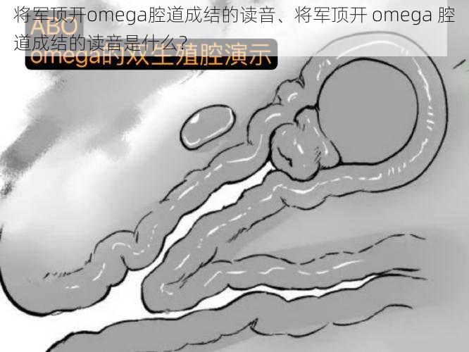 将军顶开omega腔道成结的读音、将军顶开 omega 腔道成结的读音是什么？