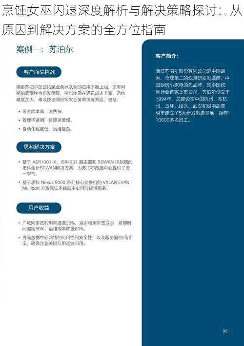 烹饪女巫闪退深度解析与解决策略探讨：从原因到解决方案的全方位指南