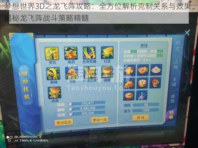 梦想世界3D之龙飞阵攻略：全方位解析克制关系与效果，揭秘龙飞阵战斗策略精髓