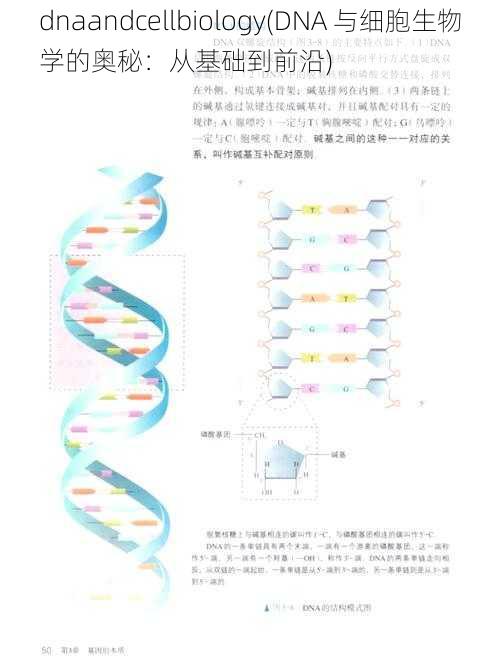 dnaandcellbiology(DNA 与细胞生物学的奥秘：从基础到前沿)