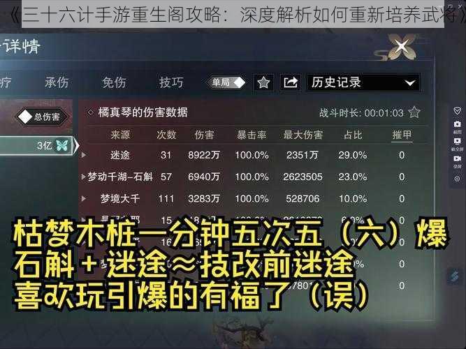 《三十六计手游重生阁攻略：深度解析如何重新培养武将》