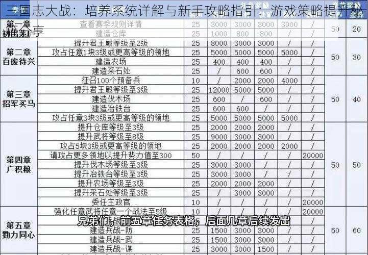 三国志大战：培养系统详解与新手攻略指引：游戏策略提升秘籍分享