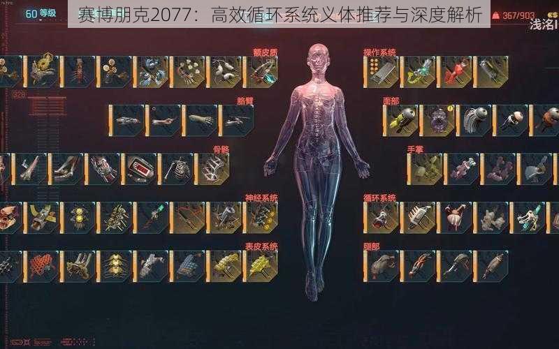 赛博朋克2077：高效循环系统义体推荐与深度解析