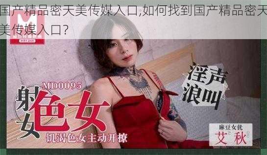 国产精品密天美传媒入口,如何找到国产精品密天美传媒入口？