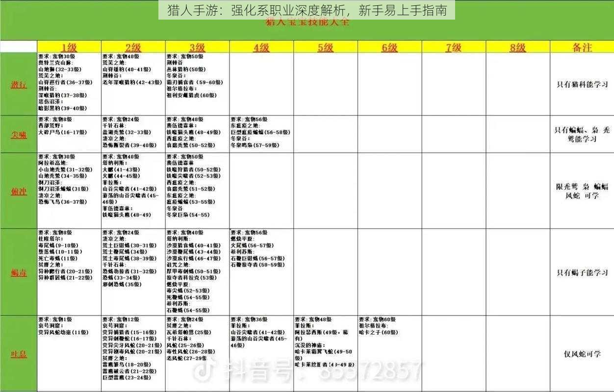 猎人手游：强化系职业深度解析，新手易上手指南