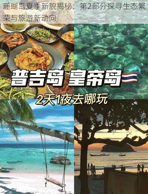 珊瑚岛夏季新貌揭秘：第2部分探寻生态繁荣与旅游新动向