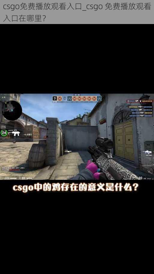 csgo免费播放观看入口_csgo 免费播放观看入口在哪里？