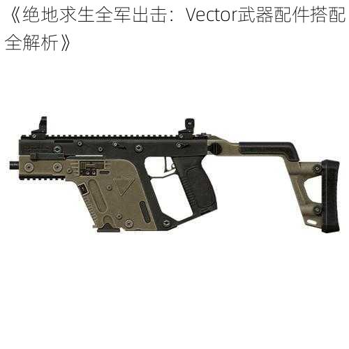 《绝地求生全军出击：Vector武器配件搭配全解析》