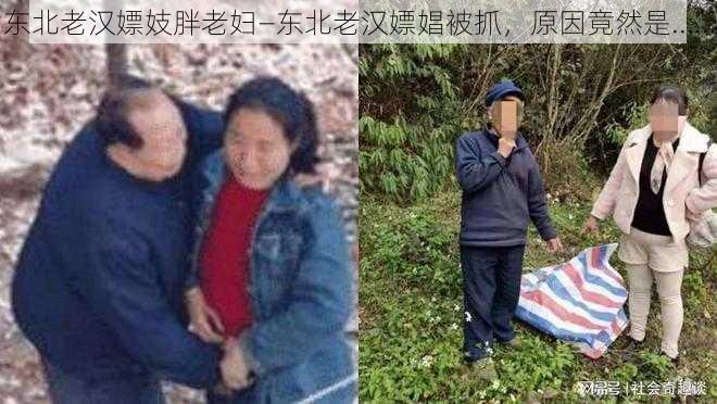 东北老汉嫖妓胖老妇—东北老汉嫖娼被抓，原因竟然是......