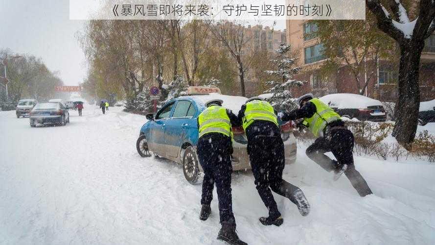 《暴风雪即将来袭：守护与坚韧的时刻》