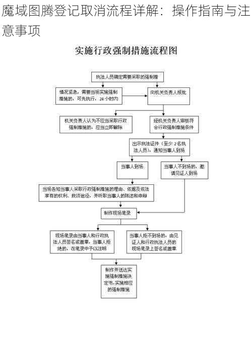 魔域图腾登记取消流程详解：操作指南与注意事项