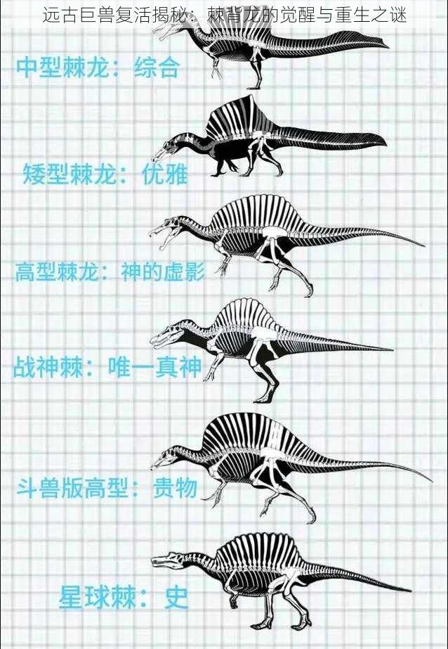 远古巨兽复活揭秘：棘背龙的觉醒与重生之谜