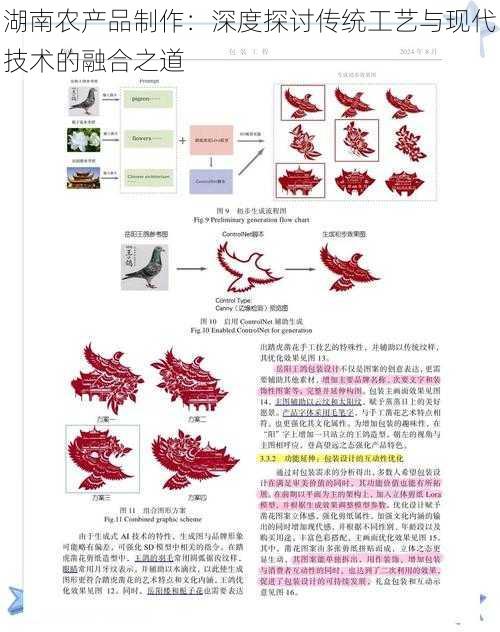 湖南农产品制作：深度探讨传统工艺与现代技术的融合之道