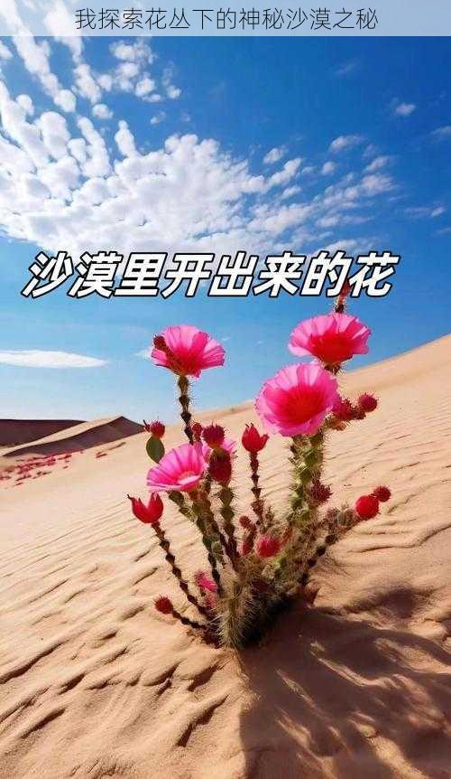 我探索花丛下的神秘沙漠之秘