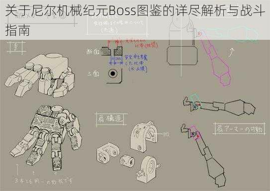 关于尼尔机械纪元Boss图鉴的详尽解析与战斗指南