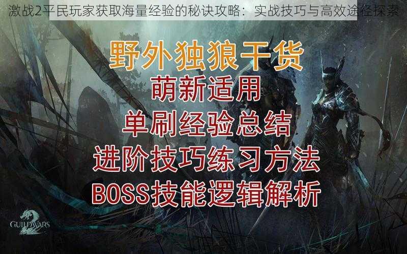 激战2平民玩家获取海量经验的秘诀攻略：实战技巧与高效途径探索