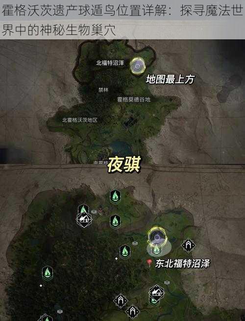 霍格沃茨遗产球遁鸟位置详解：探寻魔法世界中的神秘生物巢穴