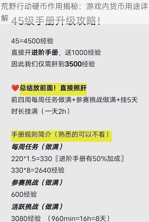 荒野行动硬币作用揭秘：游戏内货币用途详解