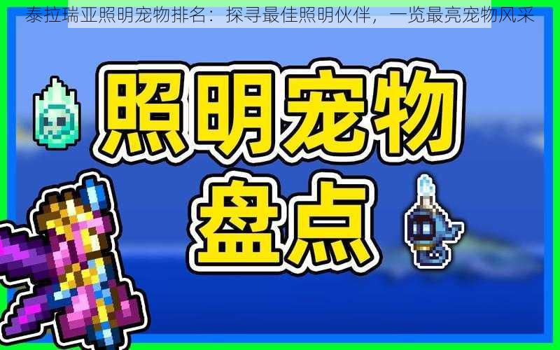 泰拉瑞亚照明宠物排名：探寻最佳照明伙伴，一览最亮宠物风采