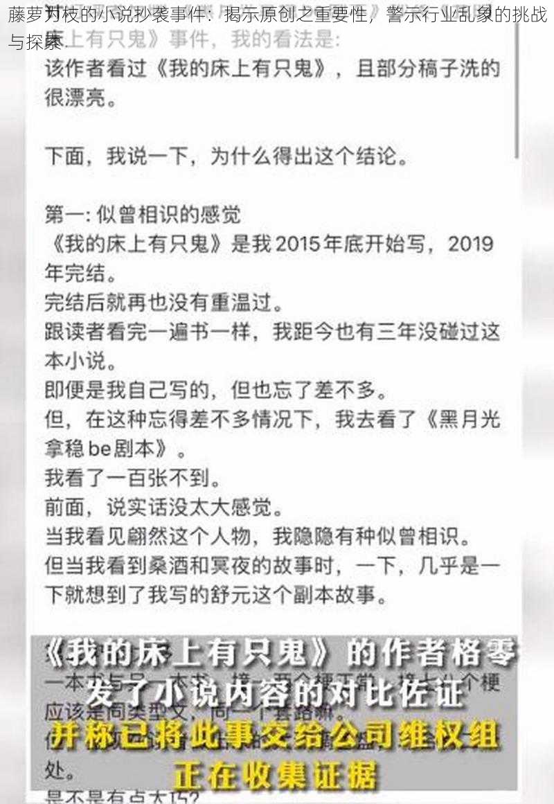 藤萝为枝的小说抄袭事件：揭示原创之重要性，警示行业乱象的挑战与探索