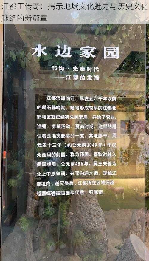 江都王传奇：揭示地域文化魅力与历史文化脉络的新篇章