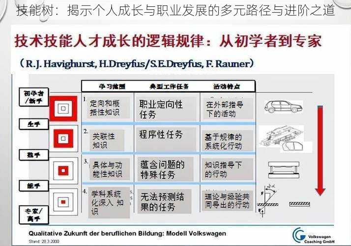 技能树：揭示个人成长与职业发展的多元路径与进阶之道